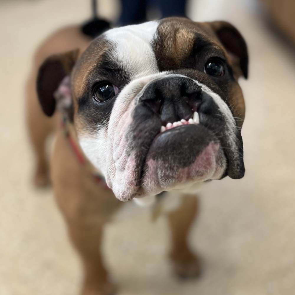 corner of modern building