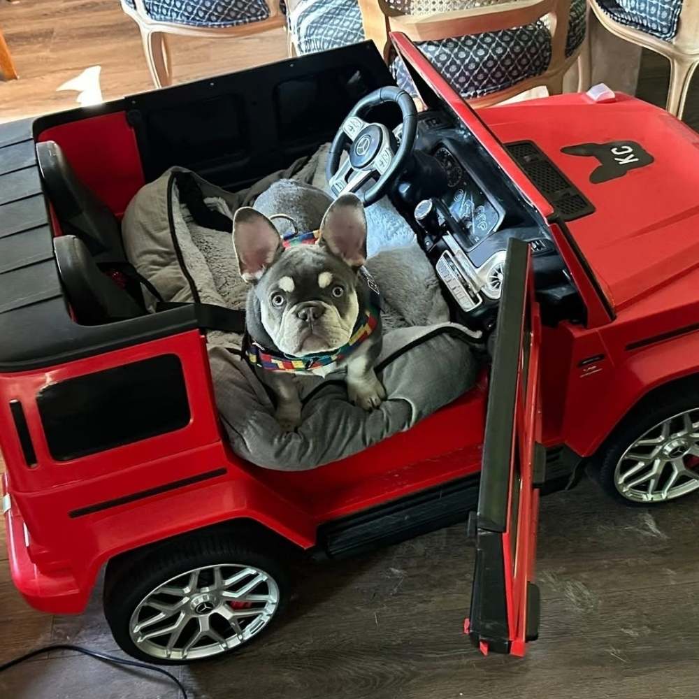 corner of modern building