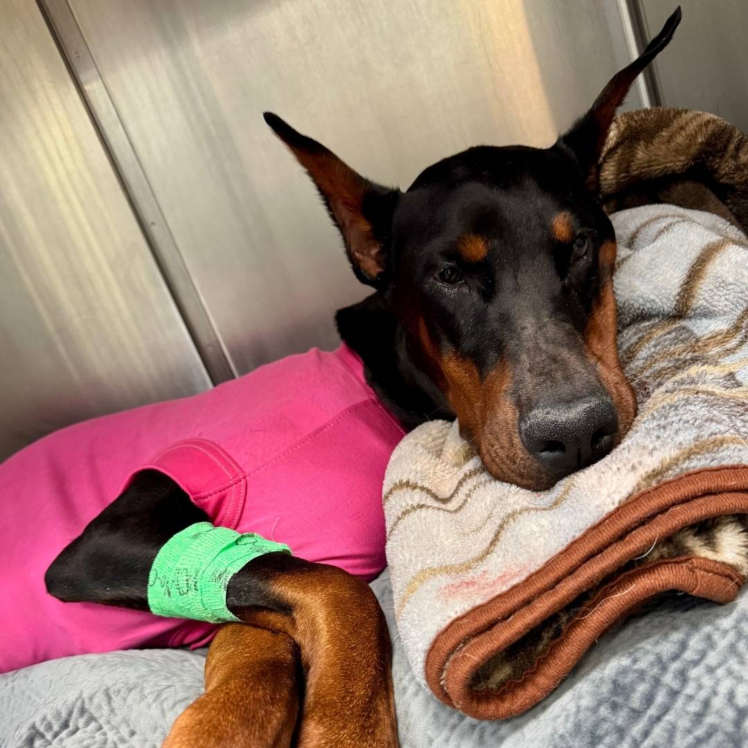 corner of modern building