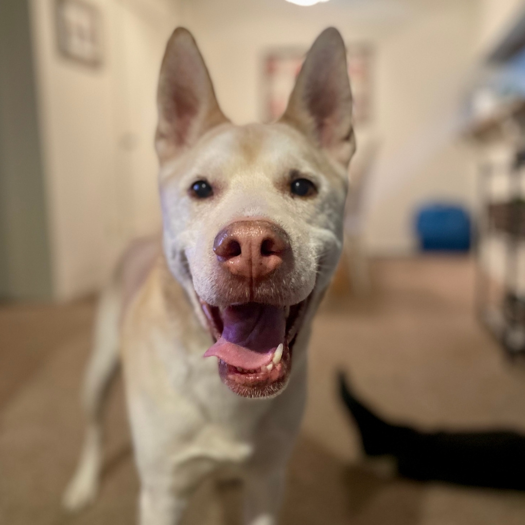 corner of modern building