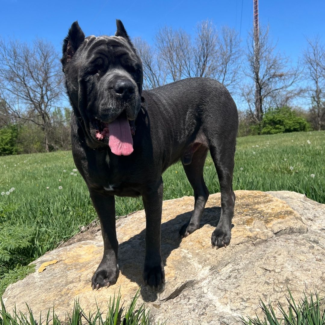 corner of modern building